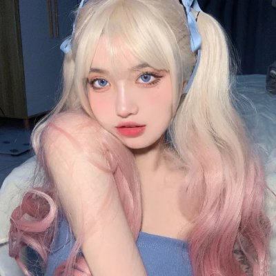 燕子盗