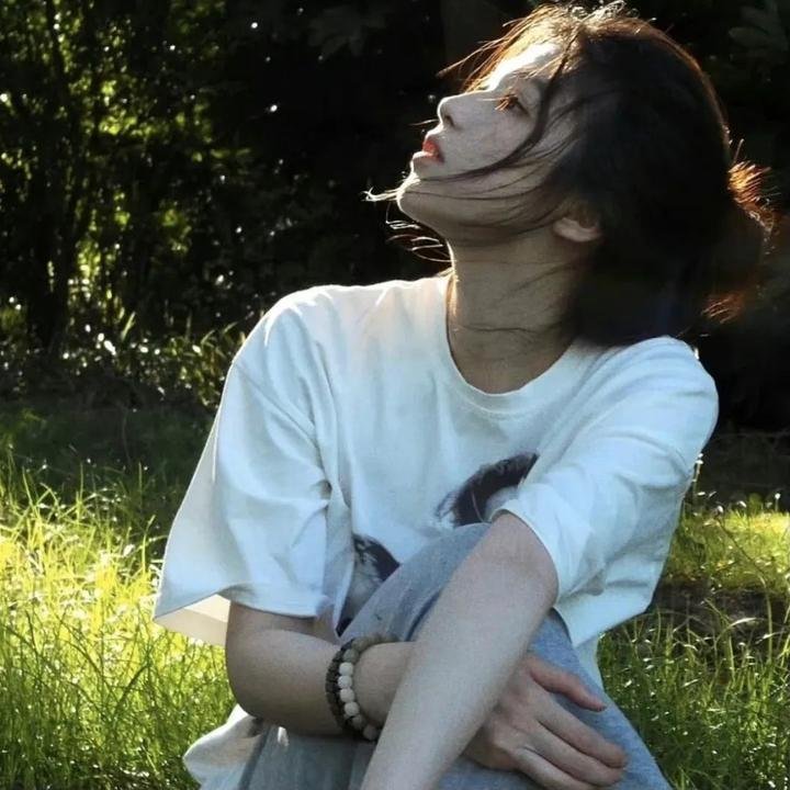 最后的圣殿骑士